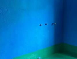 新建卫生间测漏水多少钱